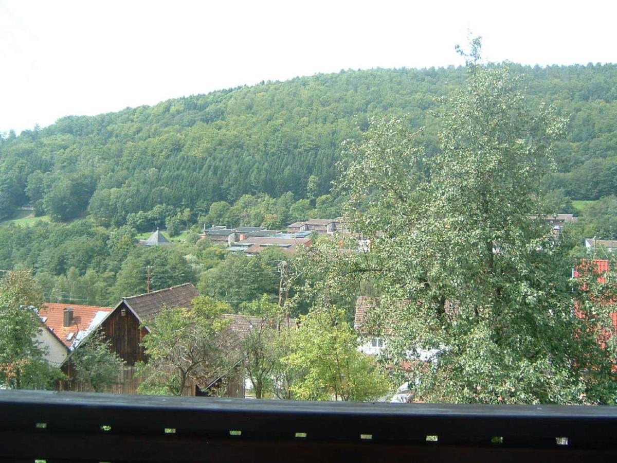 Ferienwohnung Hergenroeder Riedenberg  ภายนอก รูปภาพ
